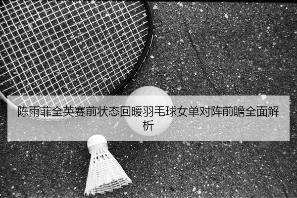 陈雨菲全英赛前状态回暖羽毛球女单对阵前瞻全面解析（CS:GO）