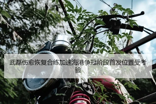 武磊伤愈恢复合练加速海港争冠阶段首发位置受考验（CS:GO）
